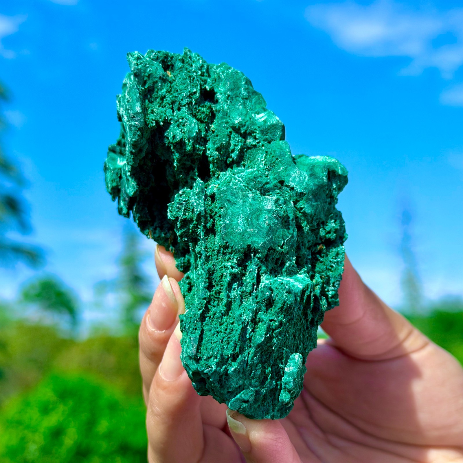 253G Natural VELVET Malachite cat’s eye specimen crystal rough mineral-Congo
