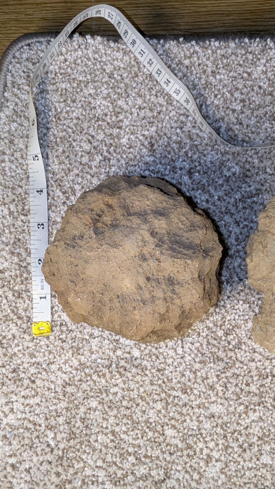 Geode Set Of 2 – Crack your own Native to Indiana Raw Rock