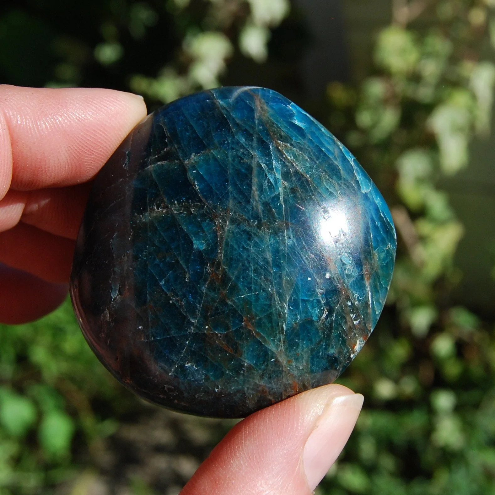 ONE Natural Gemmy Apatite Crystal Palm Stone, Madagascar