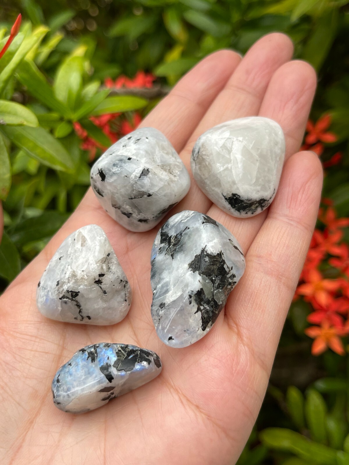 Rainbow Moonstone Tumbled Stone, 0.75-1″ Tumbled Rainbow Moonstone, Bulk Lots