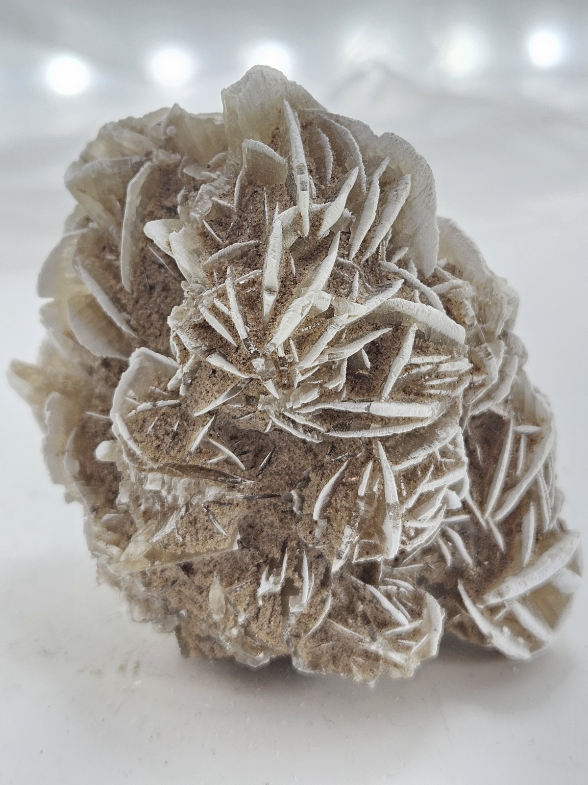 Natural Desert Rose Selenite Cluster – Mexico – Bladed Gypsum Crystal Specimen