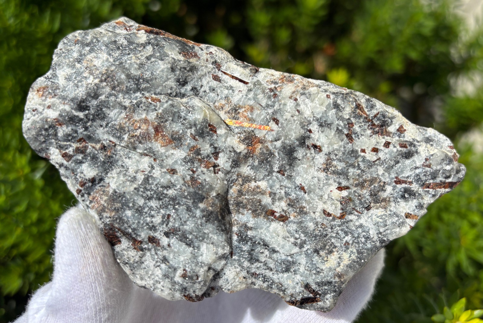 USA SALE SEE VIDEO 4″ 309g 2/3LB AUTHENTIC ASTROPHYLLITE ROUGH SPECIMEN LAPIDARY