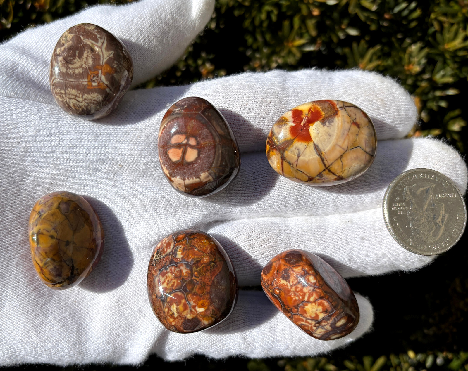 USA SALE 335g LOT EMERALD/GREEN CHERT/BIRD’S EYE RHYOLITE TUMBLES TUMBLED