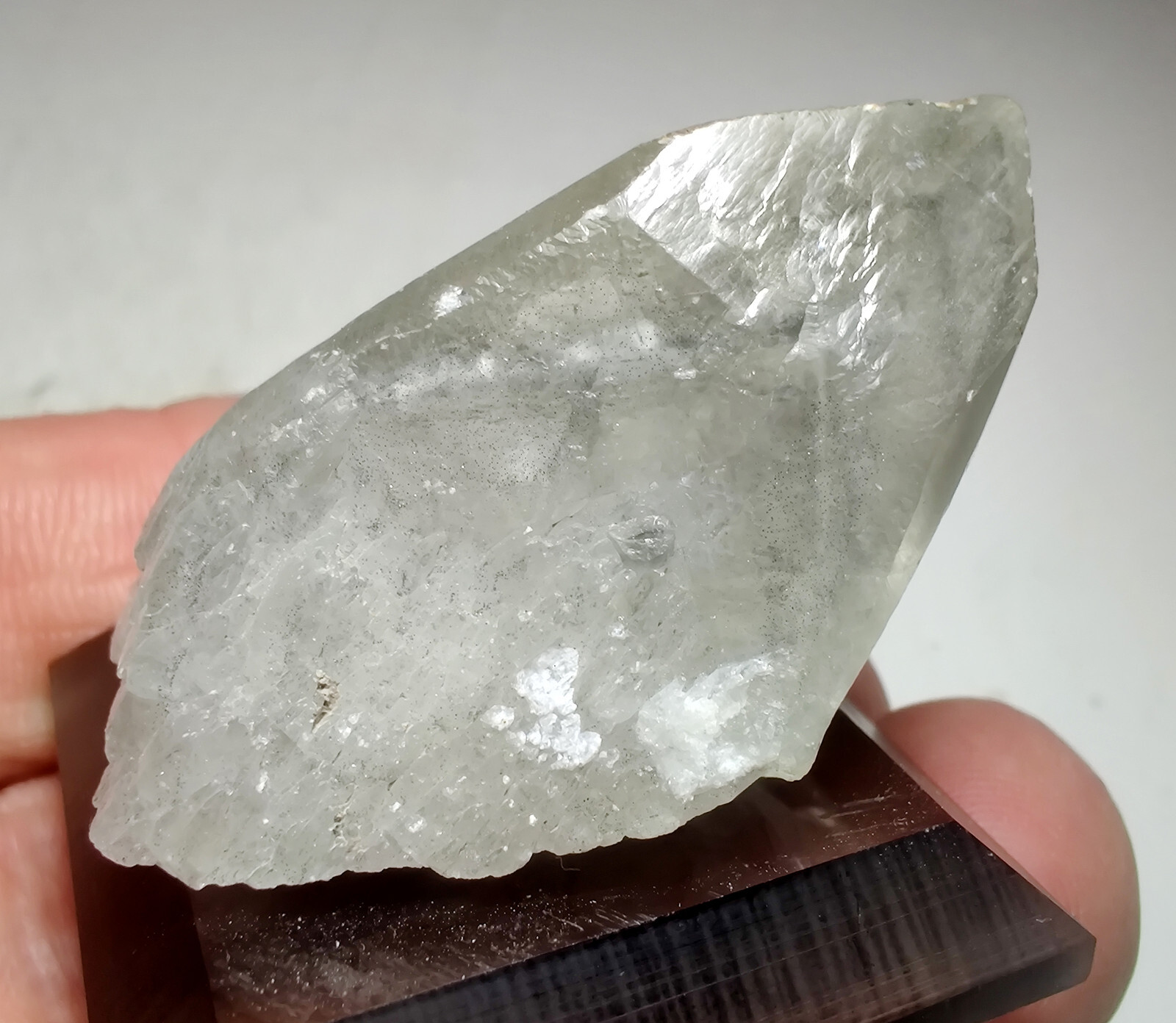 Phantom Calcite crystal with Marcasite. Vulcan Quarry, Racine, Wisconsin. 5 cm.