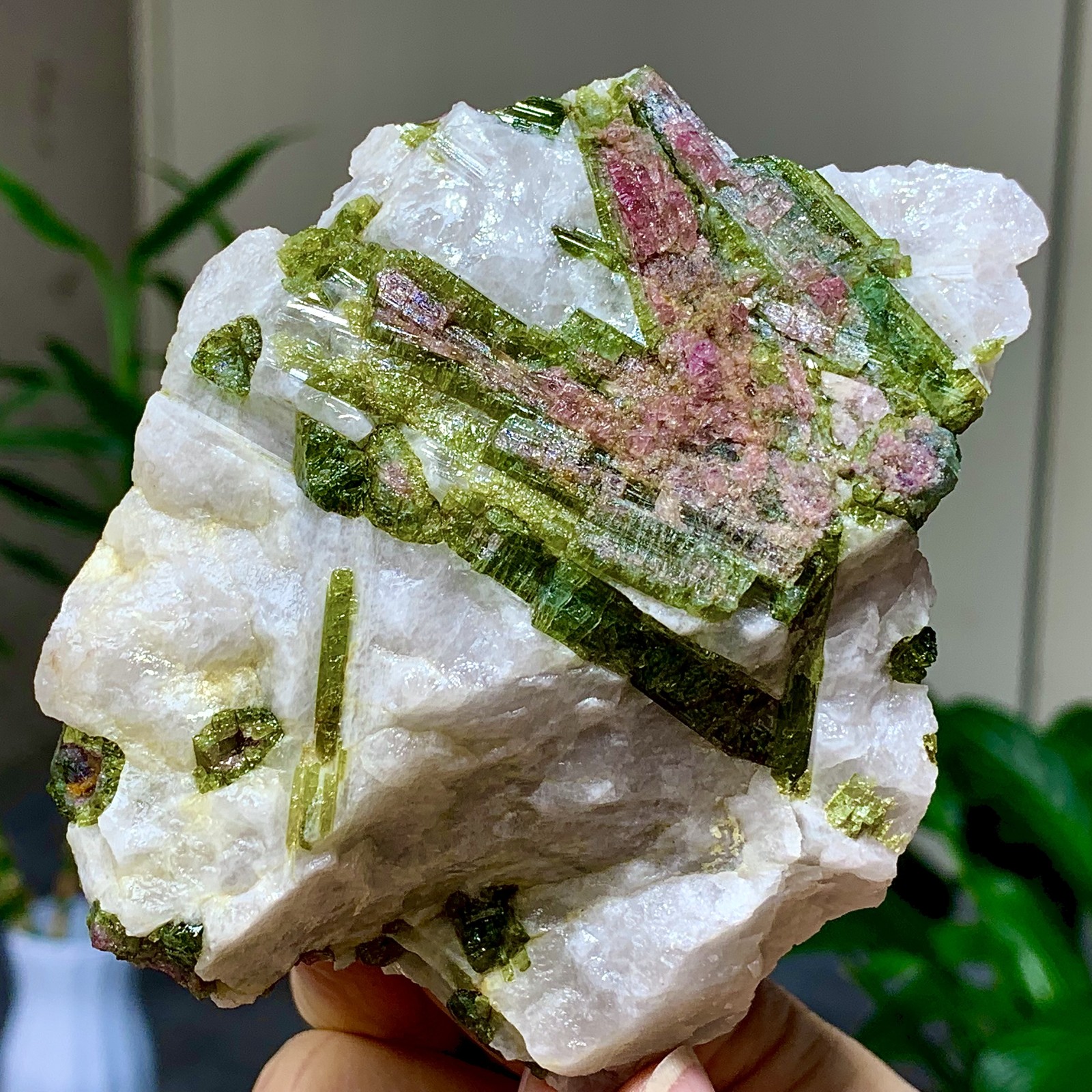 414G Natural Two tone watermelon tourmaline crystal cluster mineral specimen