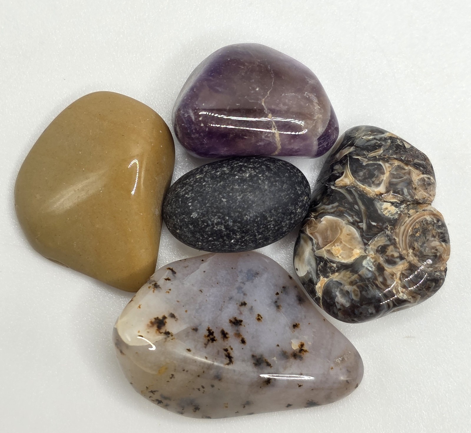 Rocks, Minerals And Fossils: Assorted Set Of Stones 1