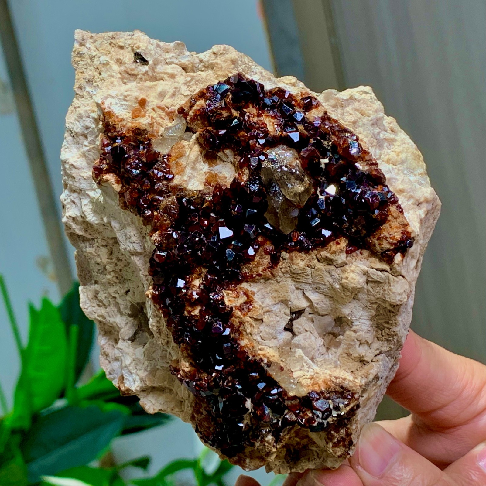 1.92LB Natural Garnet with smokey quartz cluster Crystal Mineral Specimen