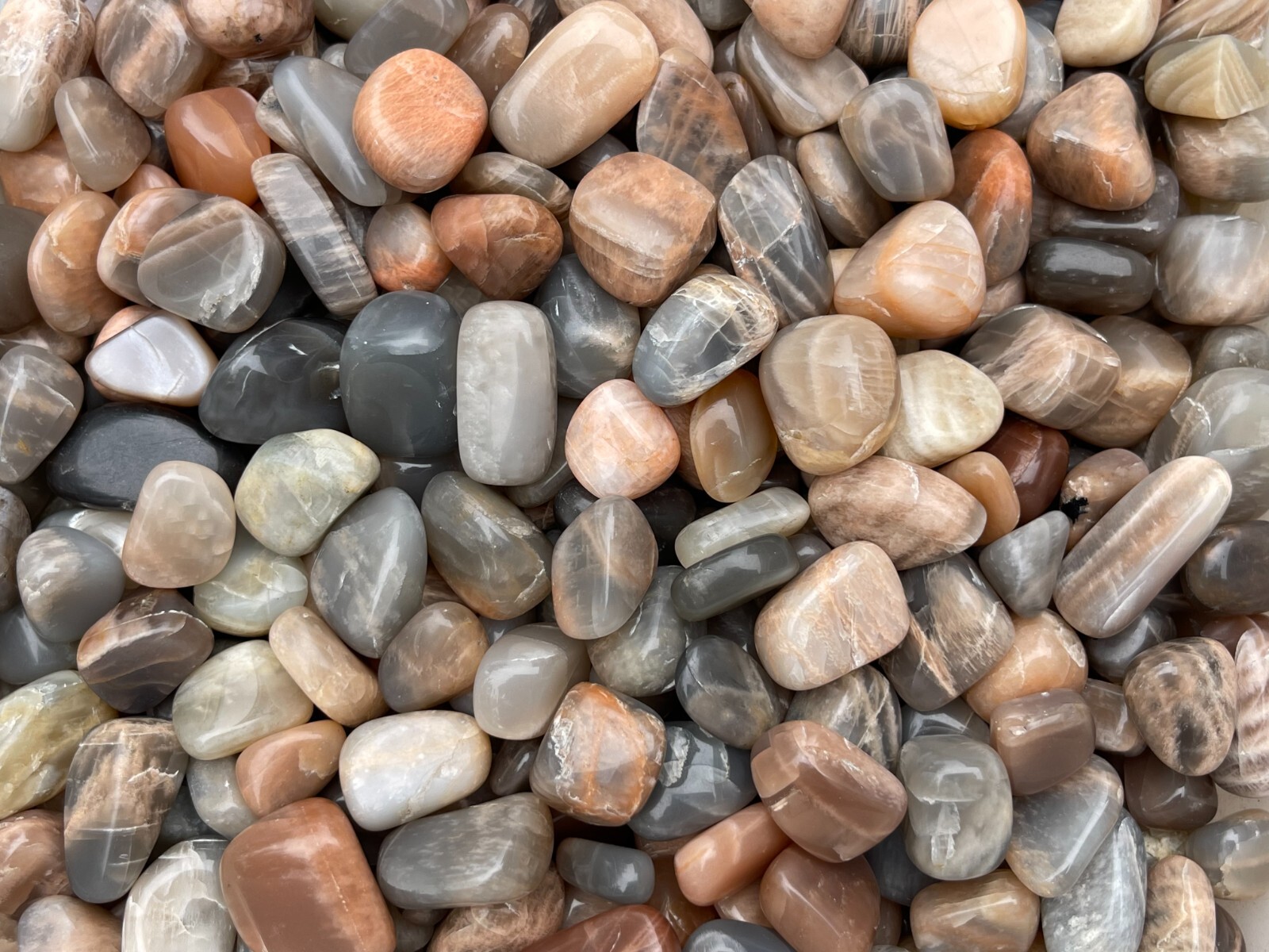Grade A++ Moonstone Multi Tumbled Stone,0.5-1.25″ Tumbled Multicolored Moonstone