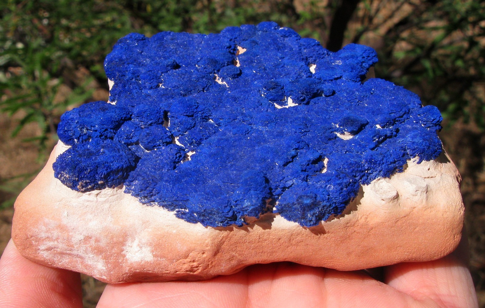 AZURITE SUN Crystal Mineral Specimen Concretion Matrix Suns AUSTRALIA USA SELLER