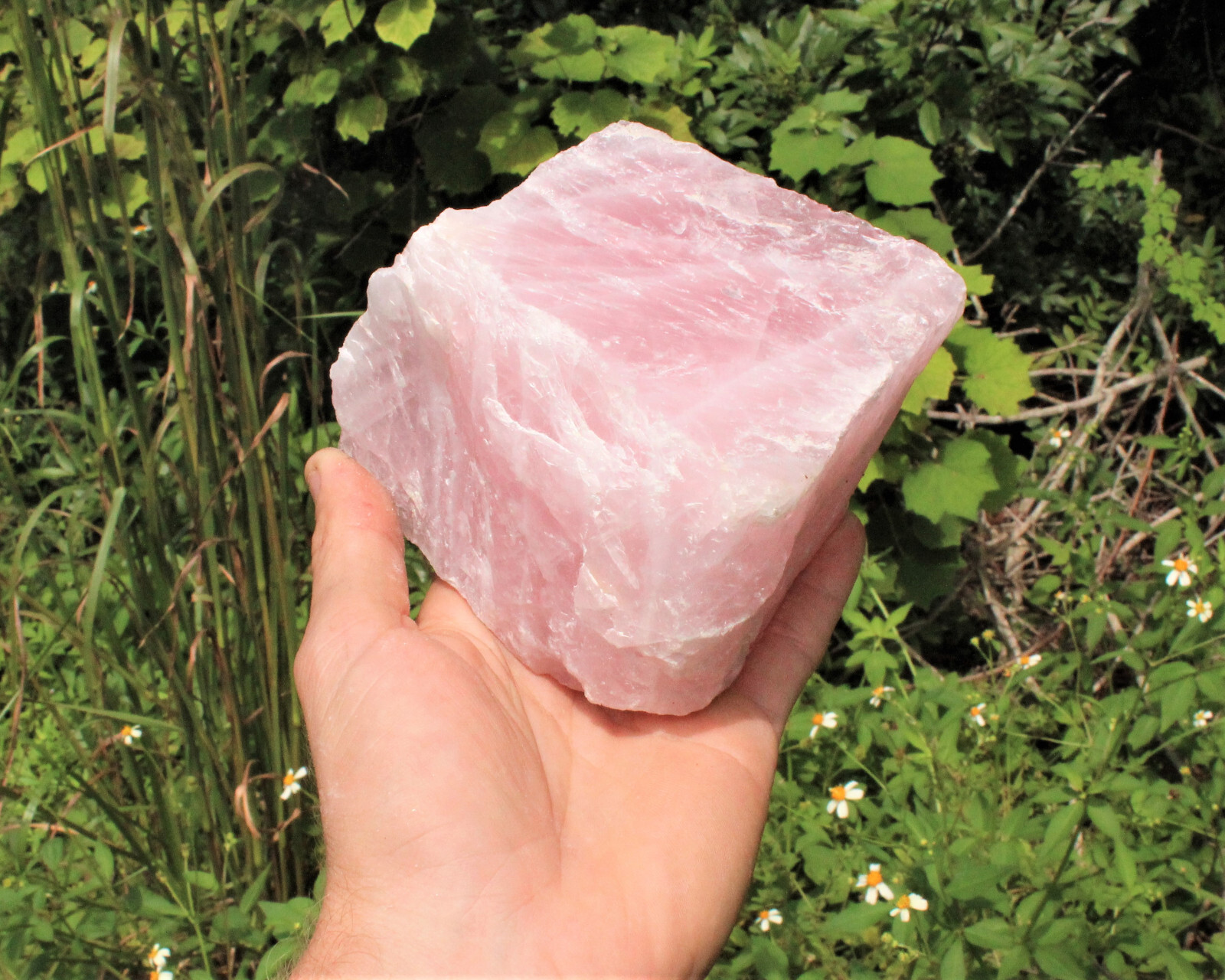 JUMBO Rose Quartz Raw Natural Crystal Specimen: 1 – 2 lb HUGE Chunk (Love Stone)