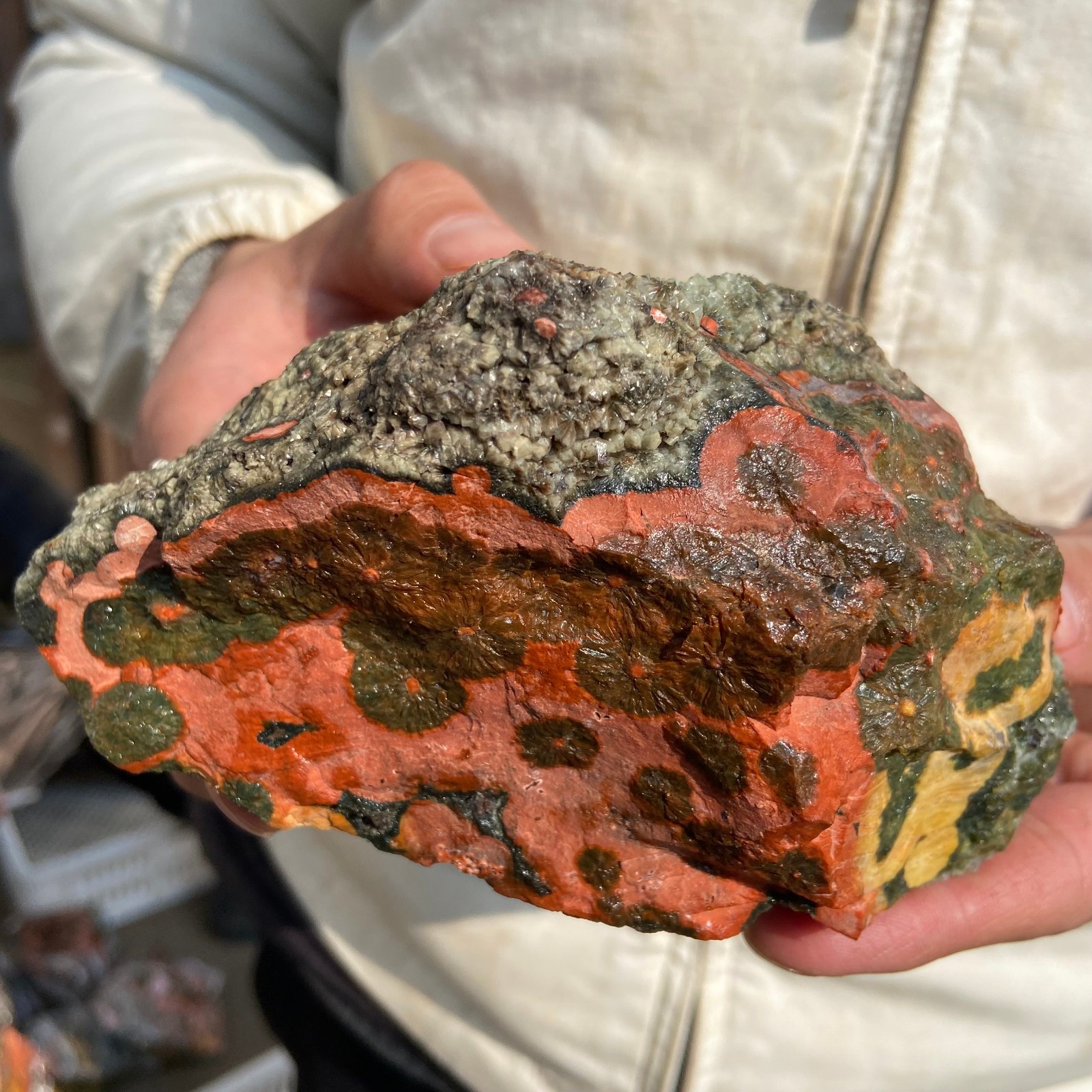 2.5lb Natural colourful ocean jasper raw stone crystal rough mineral specimen