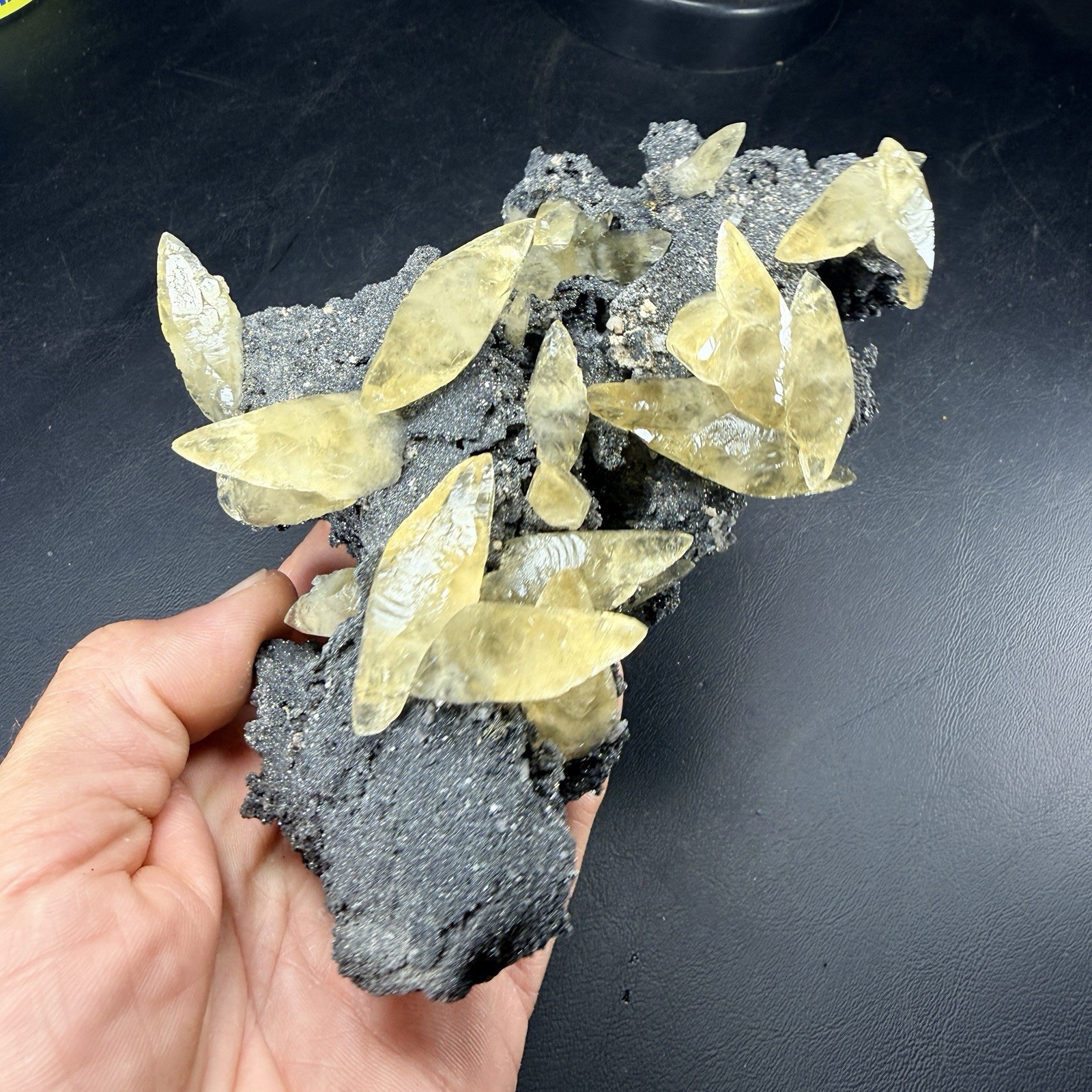 A+ Golden Calcite Dogtooth Crystals on Black Dolomite / Sweetwater Mine *Video*