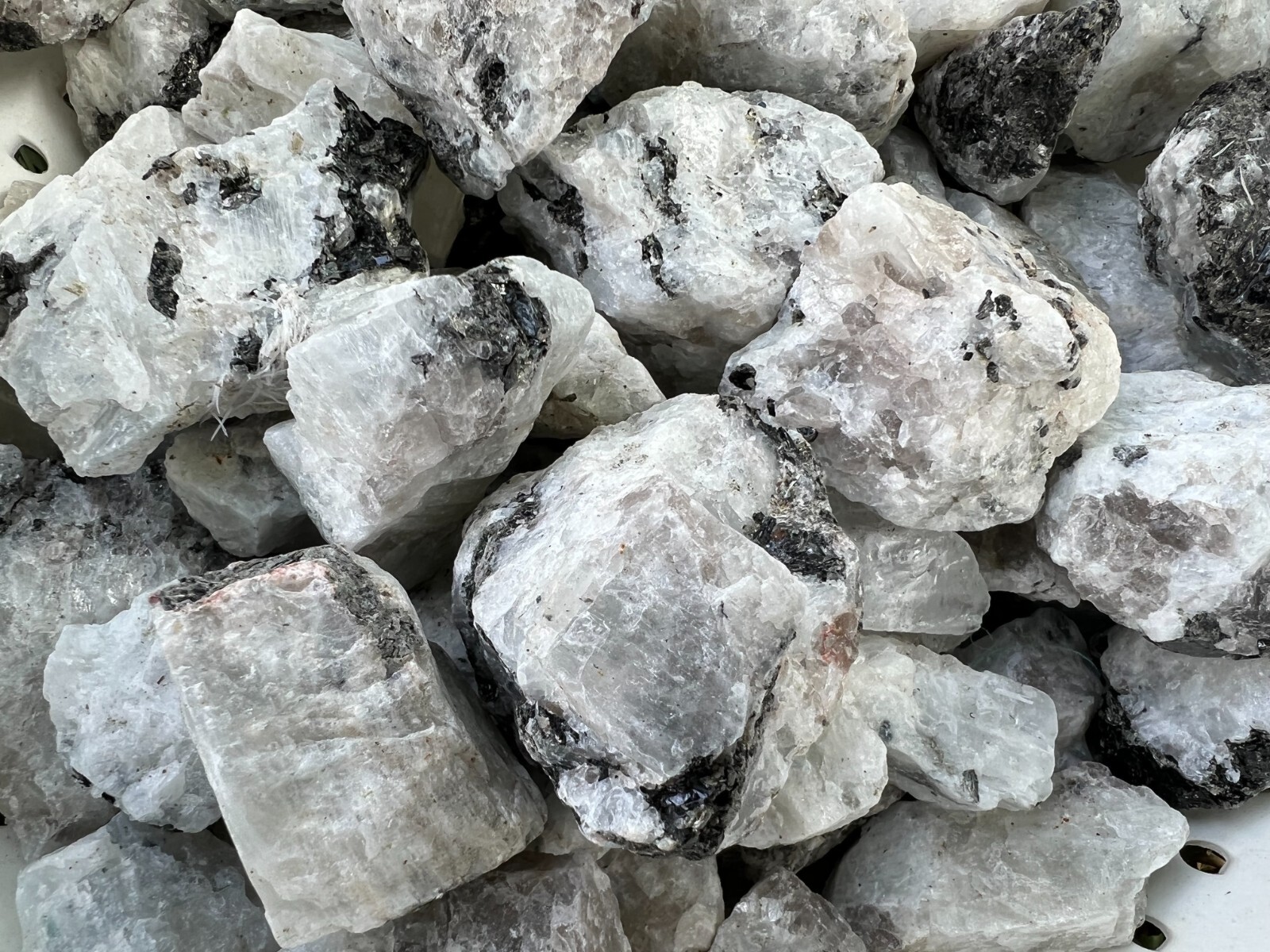 Rainbow Moonstone – Rough Rocks for Tumbling – Bulk Wholesale 1LB options