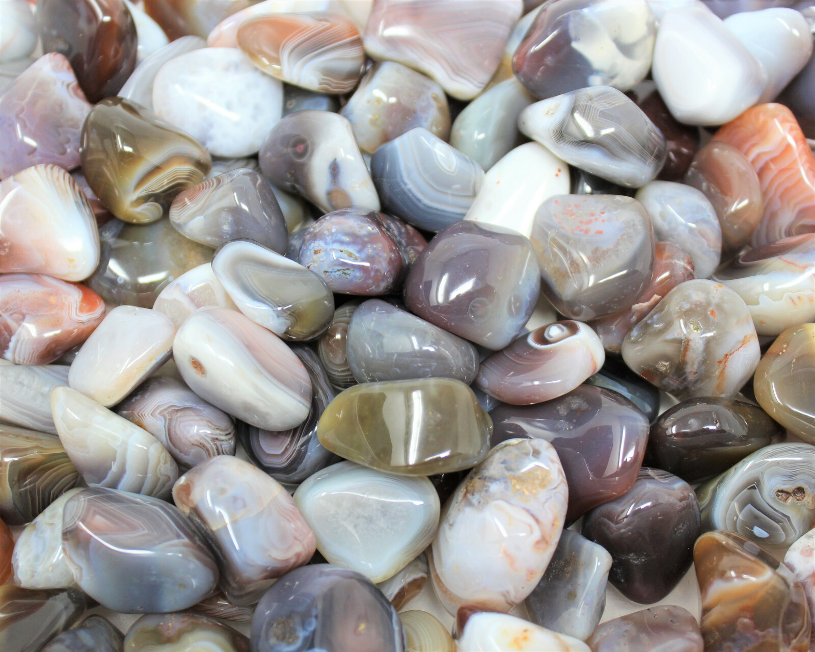 1/2 lb Bulk Lot Botswana Gray Agate Tumbled Stone Crystal Gemstone Grey 8 oz