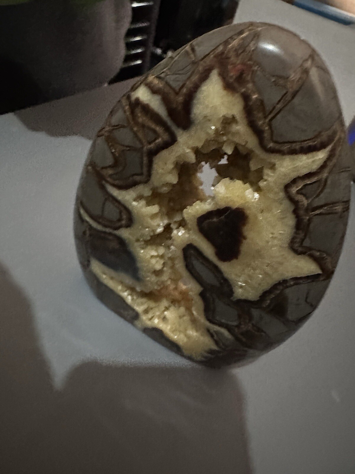Full Polish 6.5” Calcite Crystal Filled Septarian Geode Egg Shaped 6.5 Inch Tall