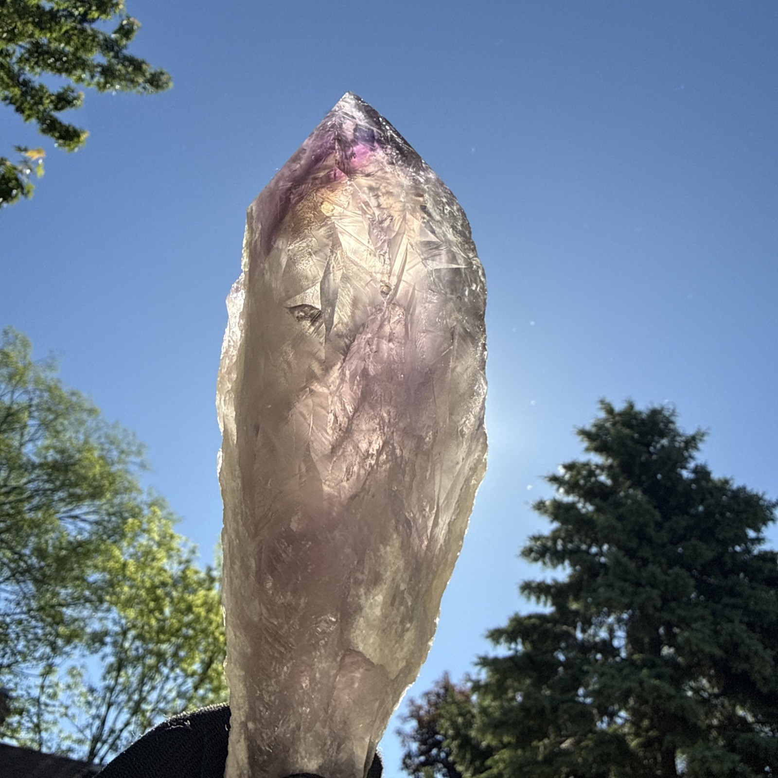 1 LB A+Natural Phantom Brazilian Large Point 7” Amethyst Root Specimen,Minerals