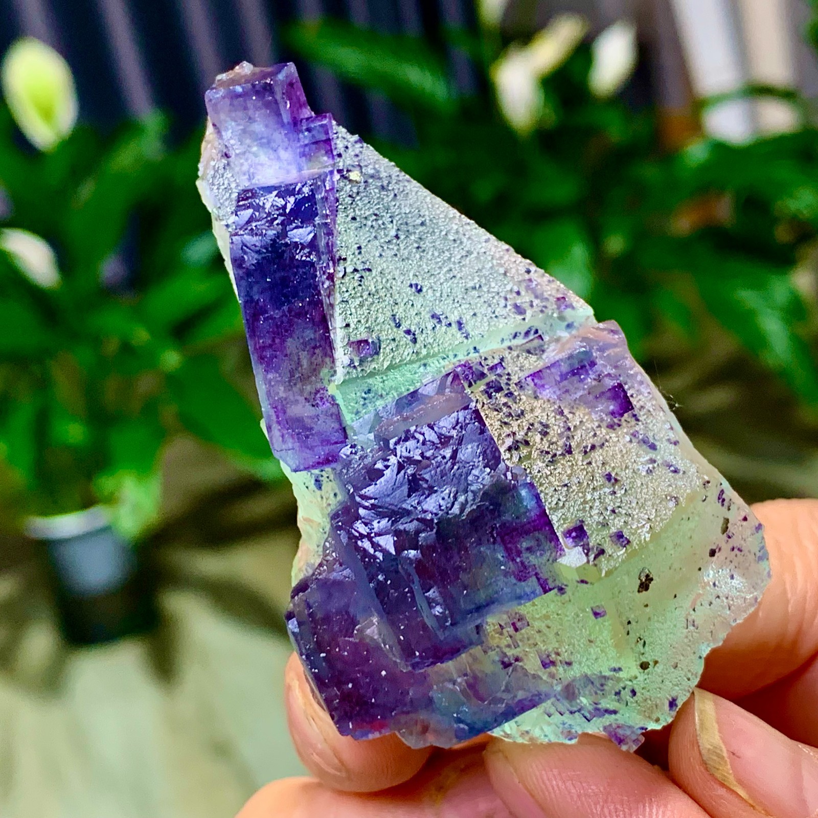 86G Rare transparent green purple cubic Zhejiang fluorite mineral sample