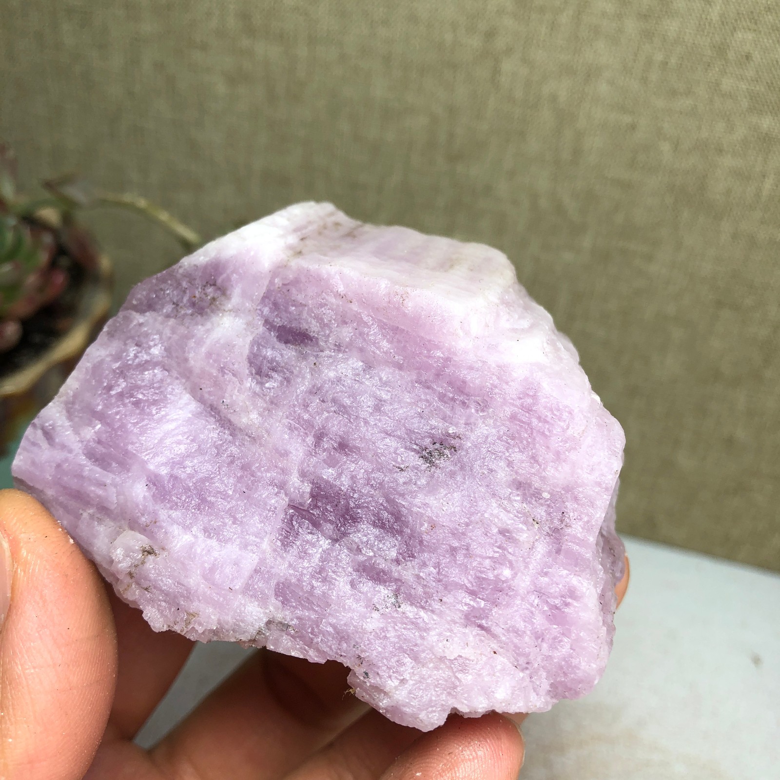 69-57-37mm NATURAL ROUGH KUNZITE PINK SPODUMENE CRYSTALS 194g A3647
