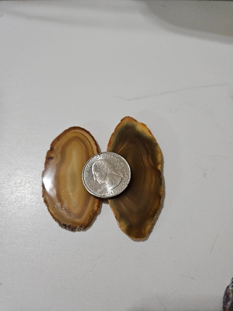 Sliced Stone Agate – 8 Pieces – Various Sizes and Colors