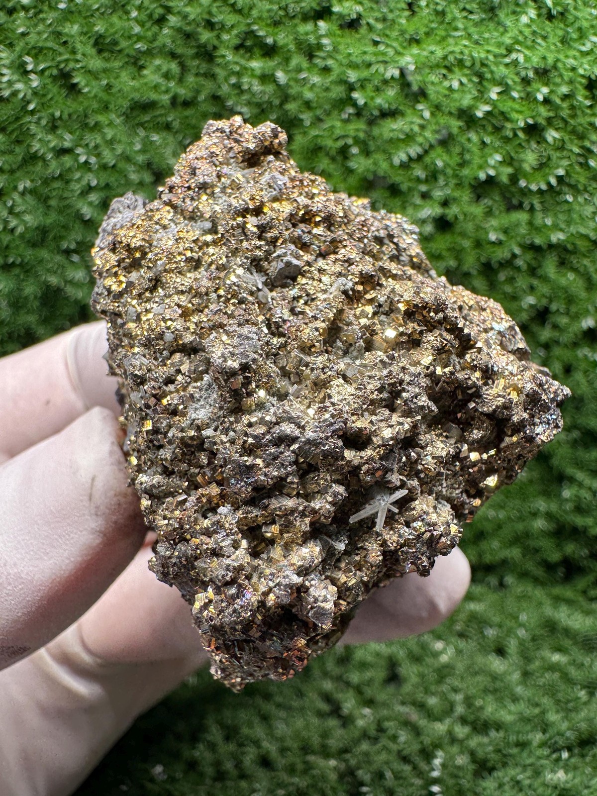 Super SHINY! Amazing IRIDESCENT PYRITE! with many rainbows! / F585