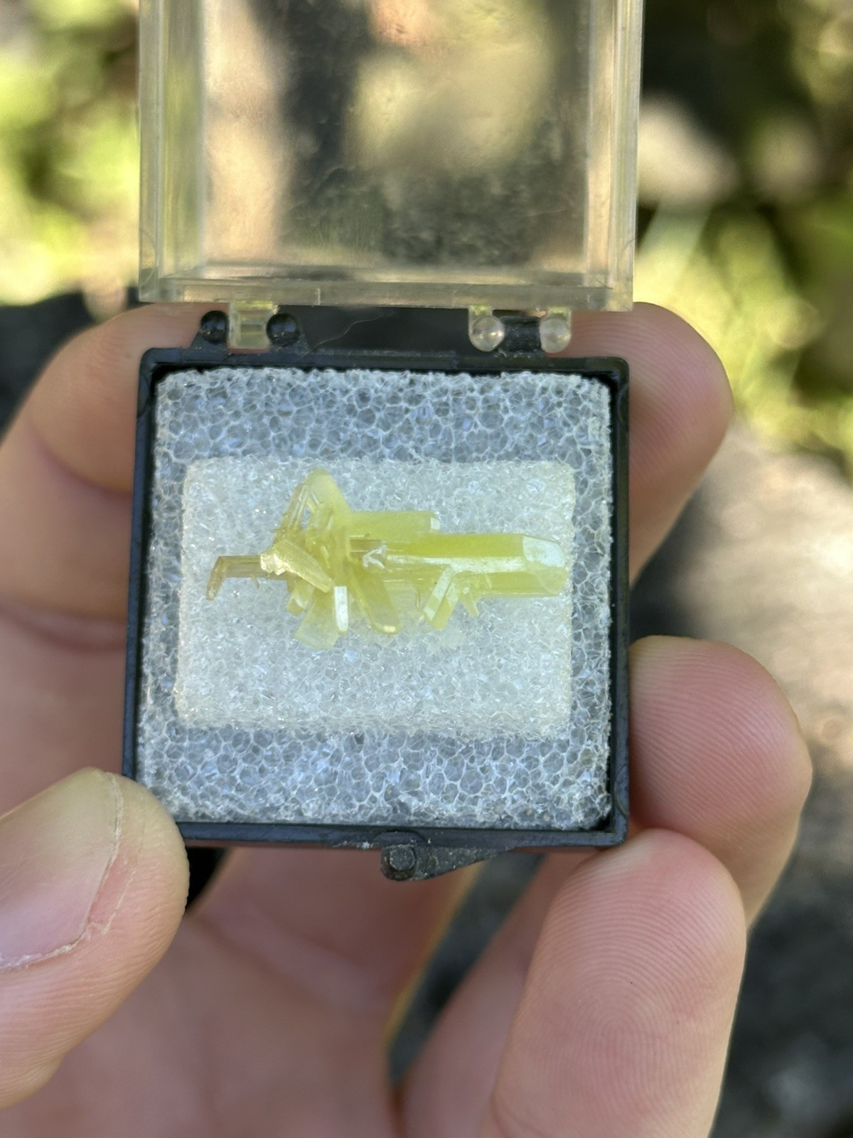 Chrome Cerussite, Dundas Extended, Tasmania, Australia. Ex Jordi Fabre