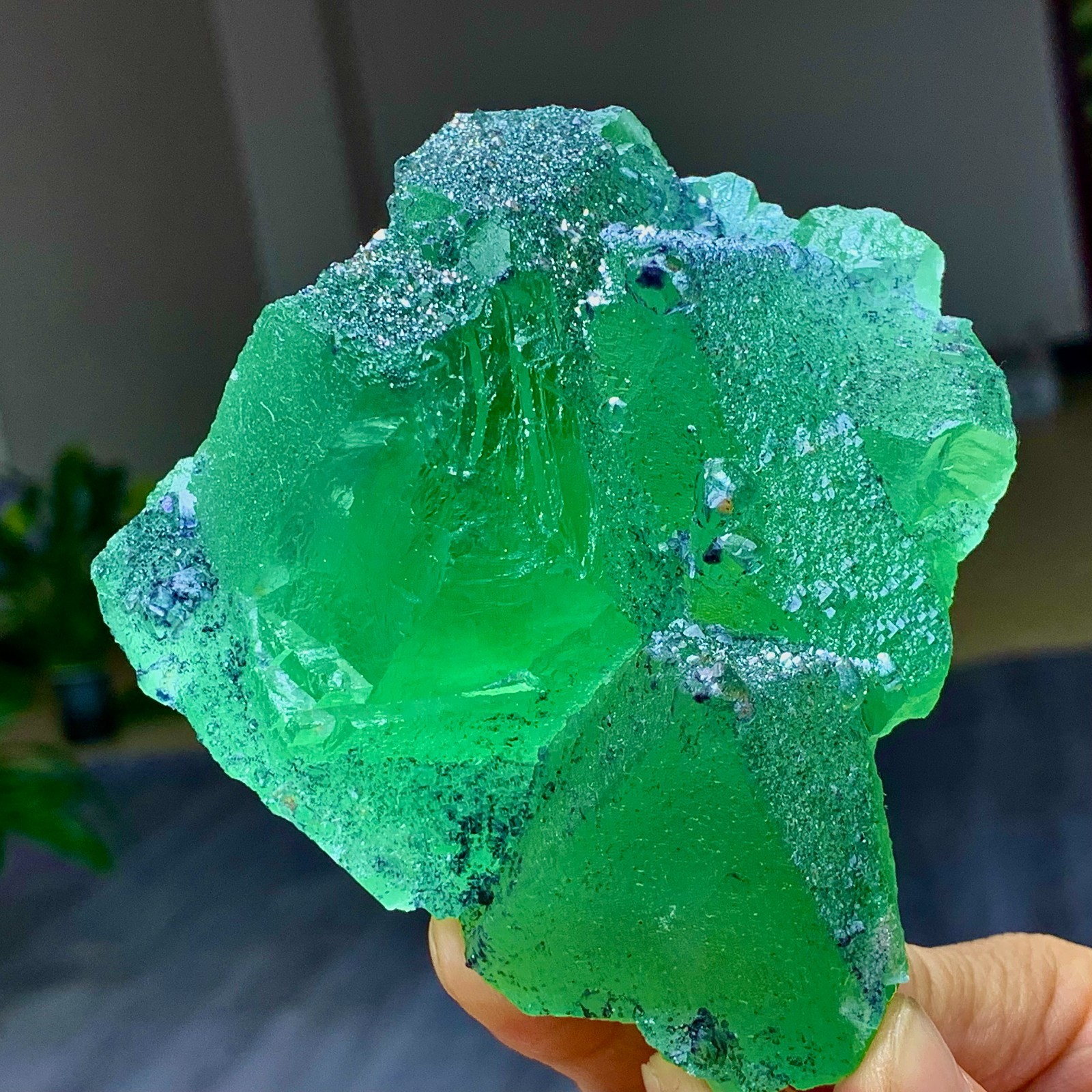 1.24LB Rare transparent green cubic Zhejiang fluorite mineral sample