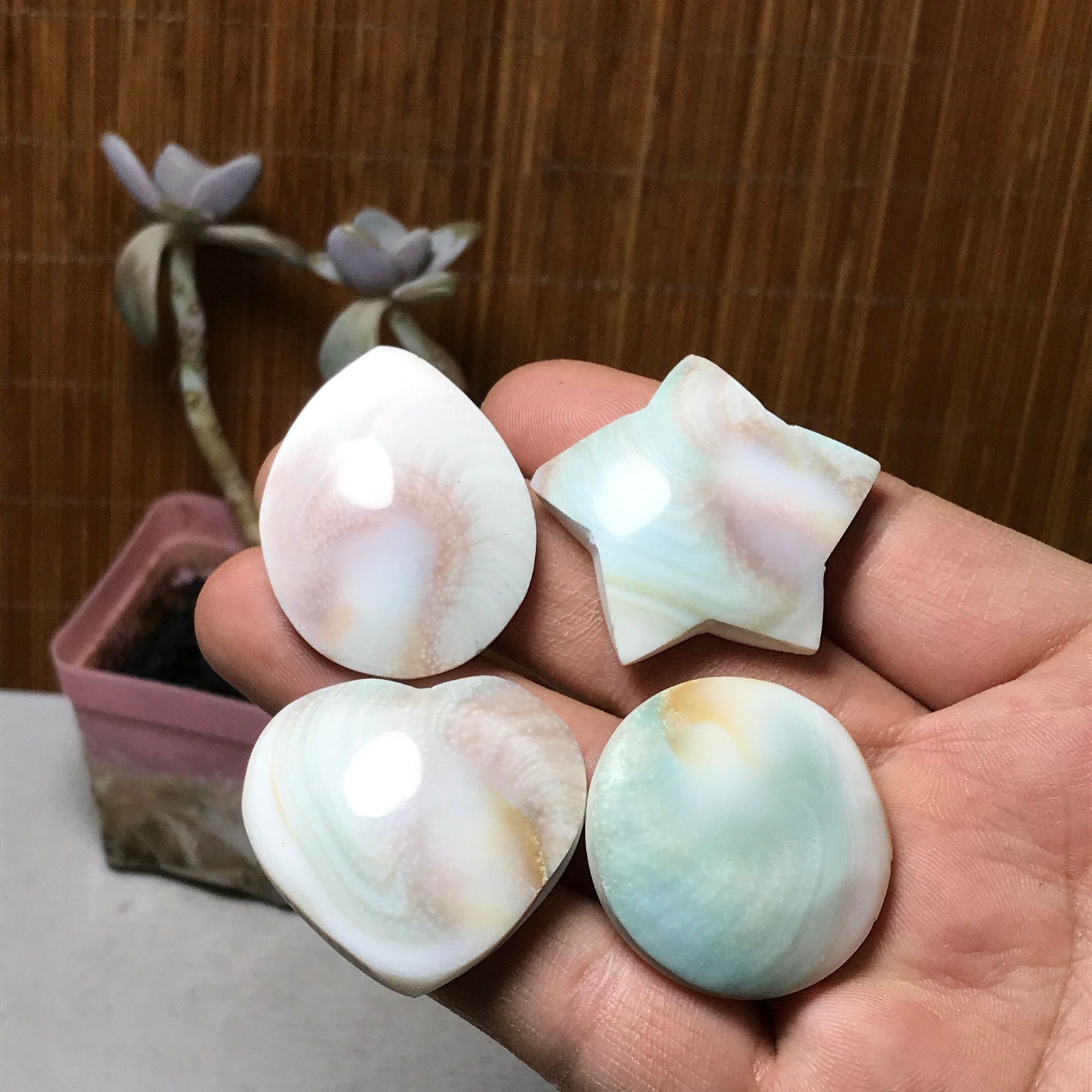 4Pcs Natural sun shell star Heart Reiki Shiva Eye ocean quartz carve A3331