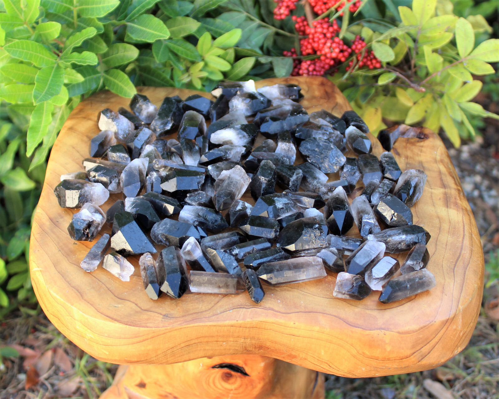 1/2 lb Bulk Wholesale Mixed Smoky & Quartz Crystal Points, Natural Clear Smokey