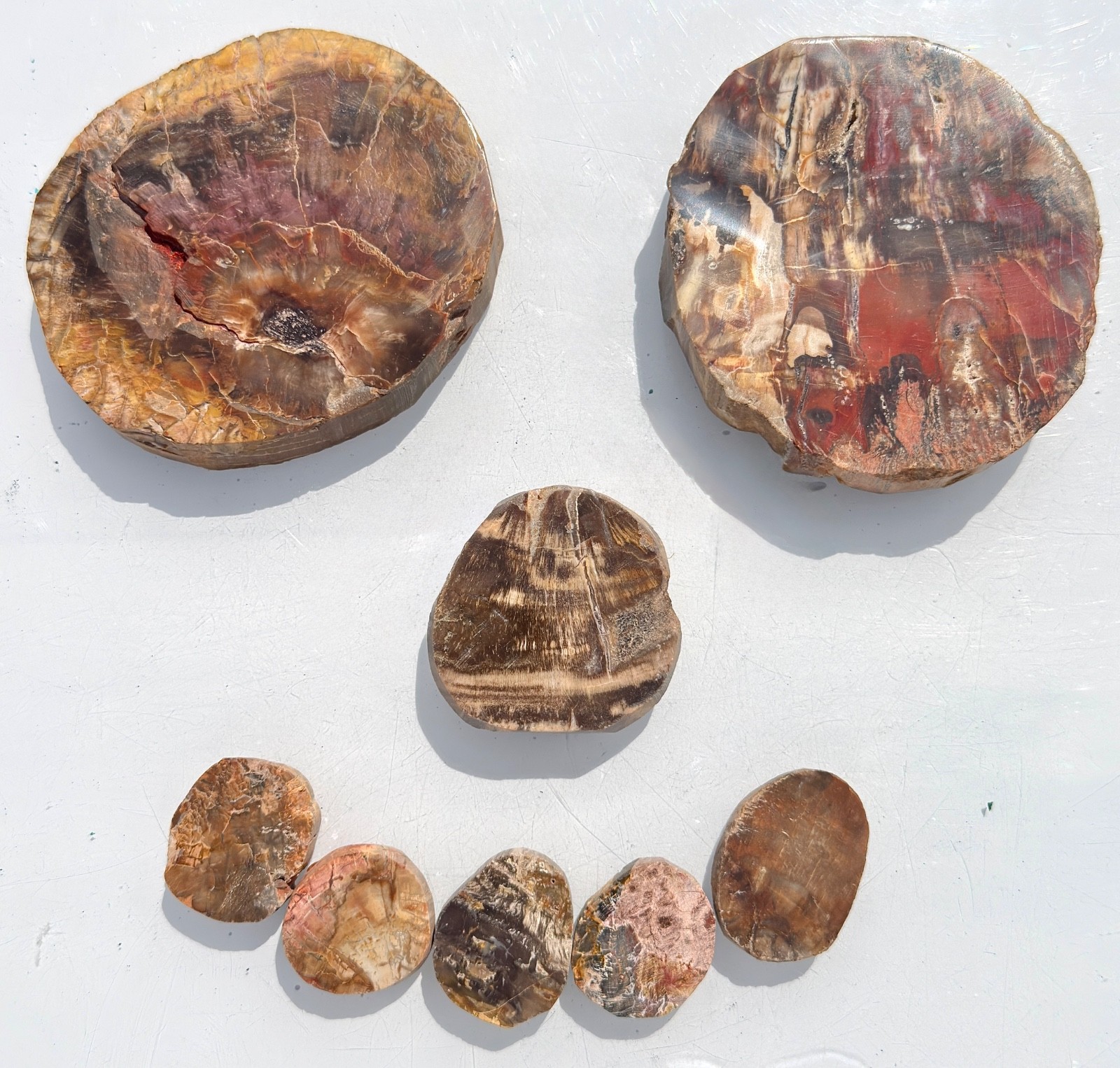 Wholesale Lot 4 Lbs Natural Petrified Wood Slabs Crystal Healing Energy