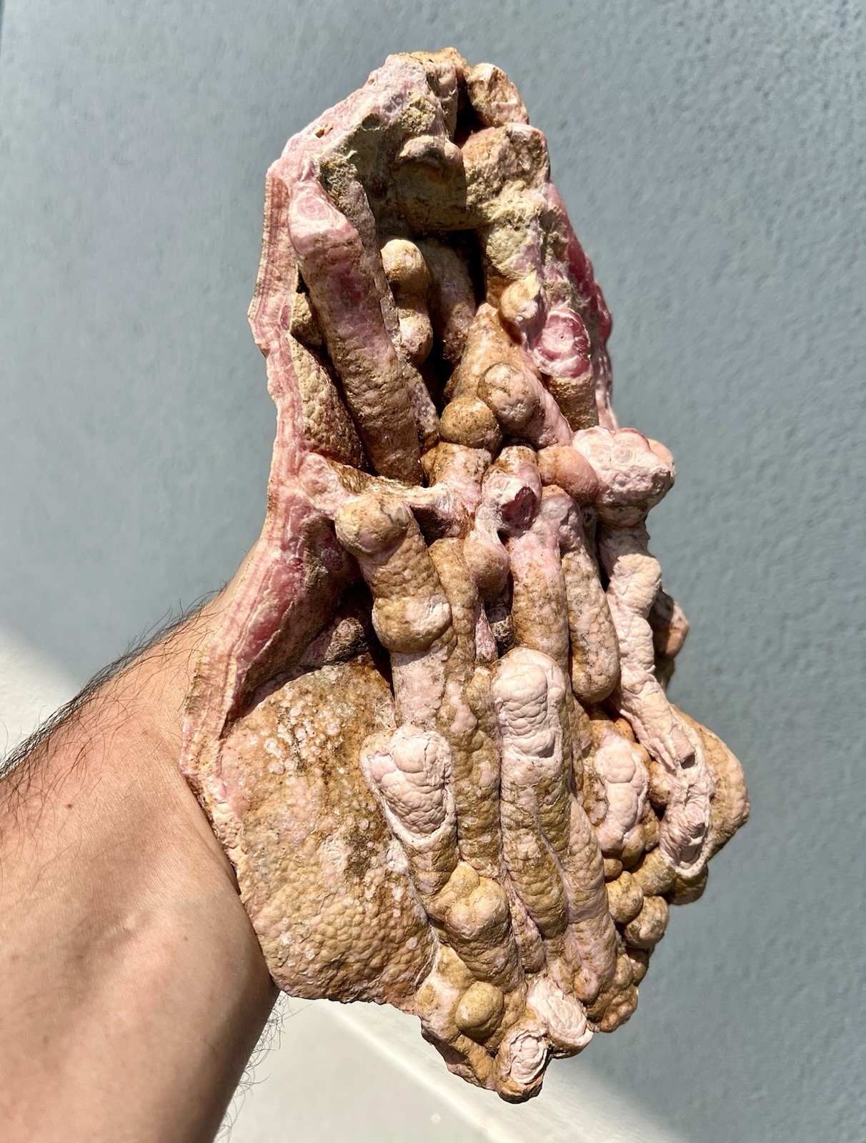 6.8 Pound: Rhodochrosite Stalactite Cluster Massive Ortiz, Capillitas, Argentina