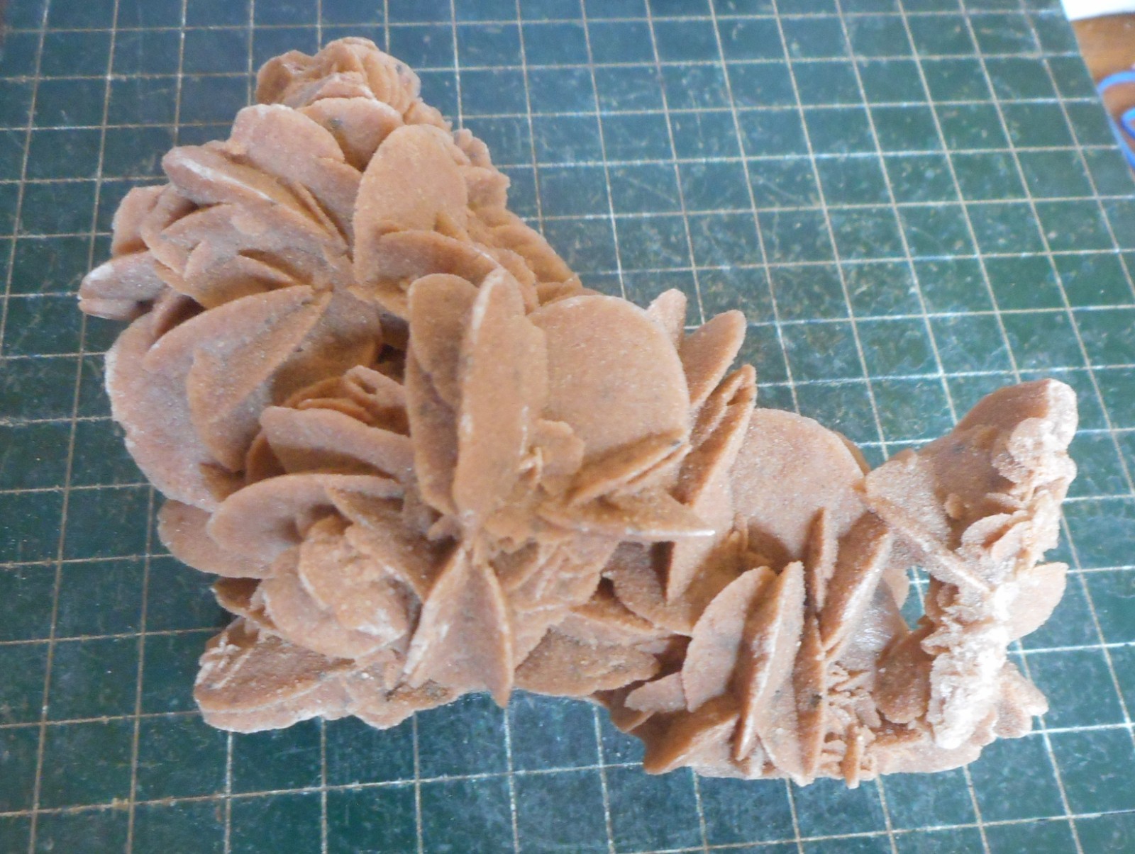 Desert Rose Selenite. Natural. Gypsum. Morocco 5.3″ (13.5 cm). 0.95 Lb