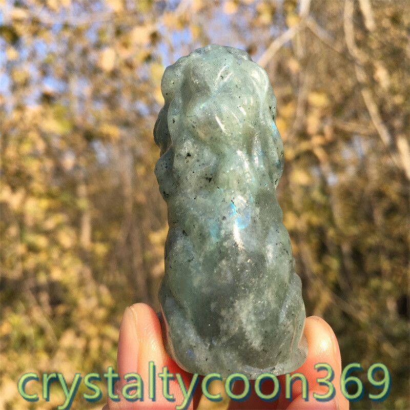2″+ Natural Labradorite Quartz Carved Lion Crystal Gift Skull Reiki Healing 1pc