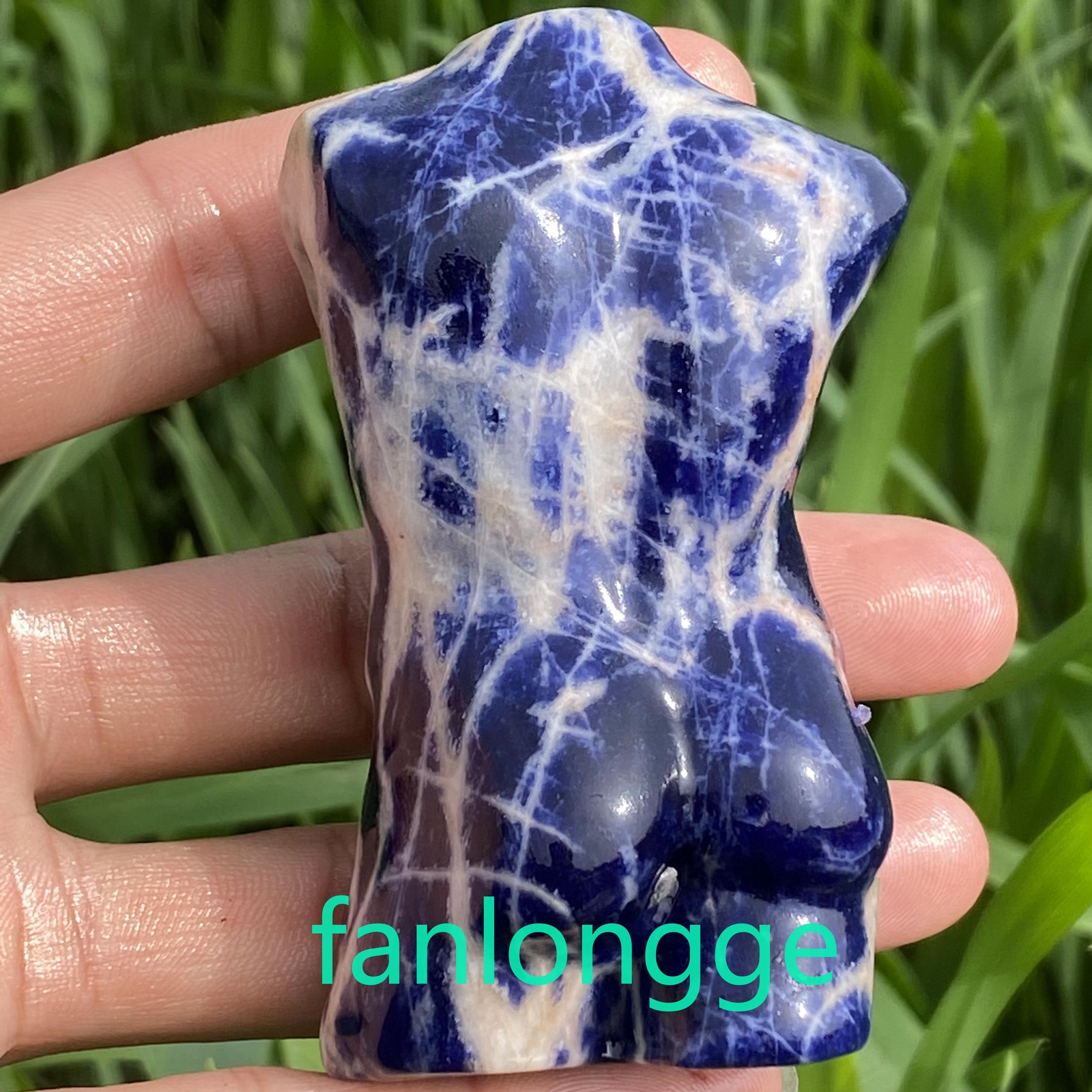 3.2in Natural Sodalite male Quartz Crystal skull Body Sculpture Reiki 1PC