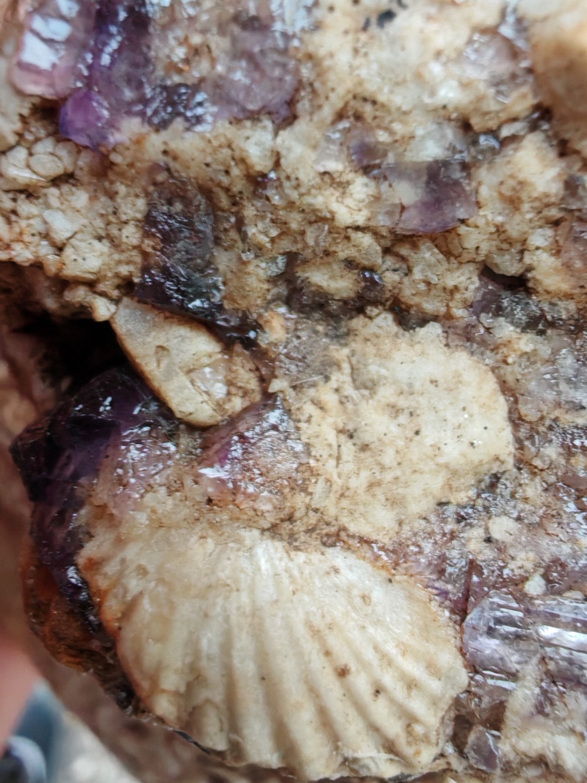 Blue John Fluorite Large Raw Crystal Cluster On Fossil Matrix