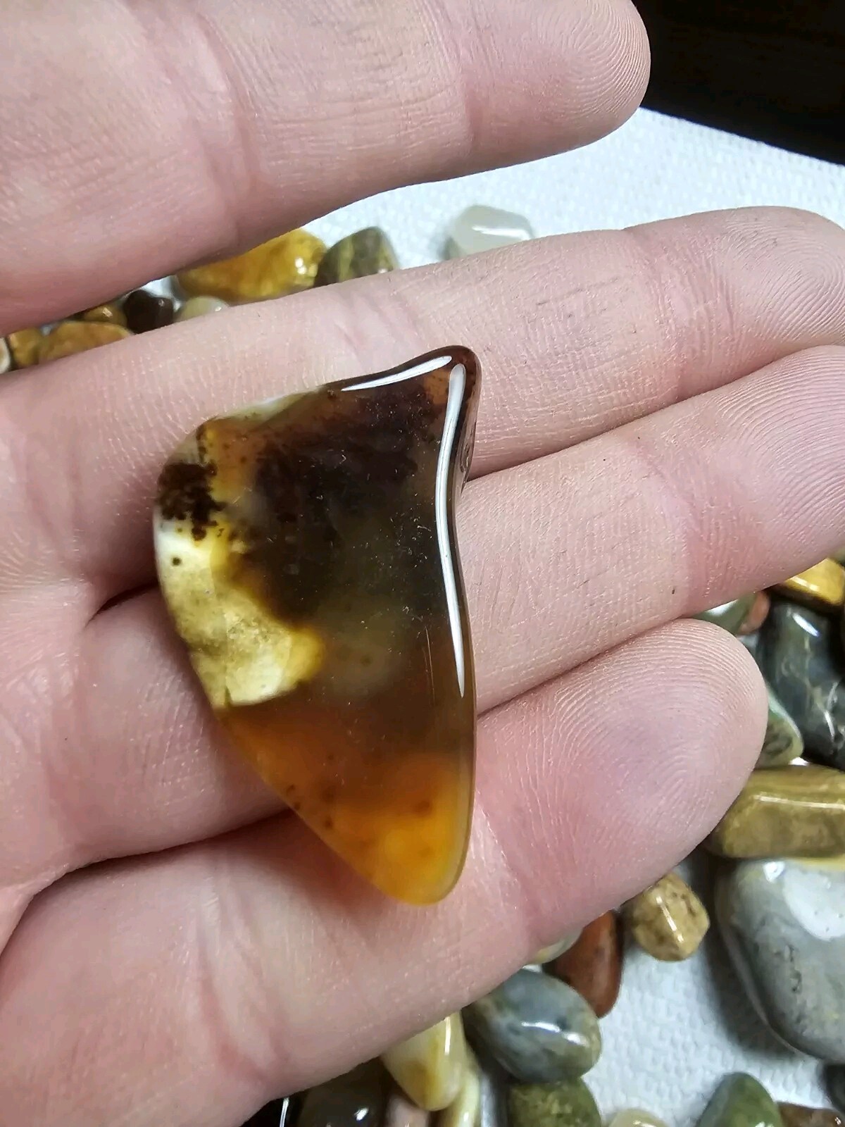 5 Oz. Bulk Mixed Tumbled Stones Agate Chalcedony Jasper Petrified Wood And More