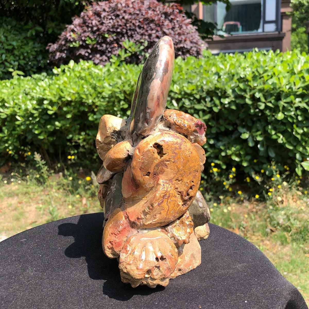 6.42LB Rarem Natural Tentacle Ammonite Fossil Specimen Shell Healing Madagas