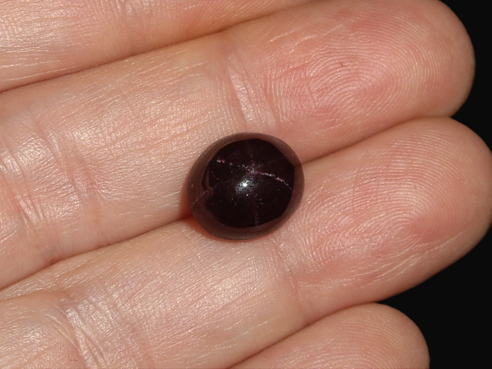 Star Garnet Polished Cabochon, 7.8cts
