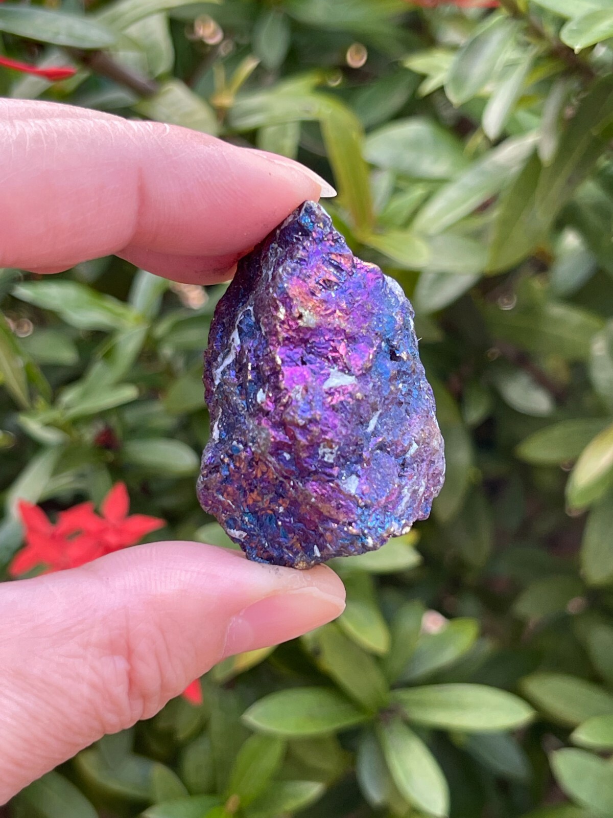Grade A++ Chalcopyrite Natural Stone, Raw Peacock Ore Stone, Wholesale Bulk Lot