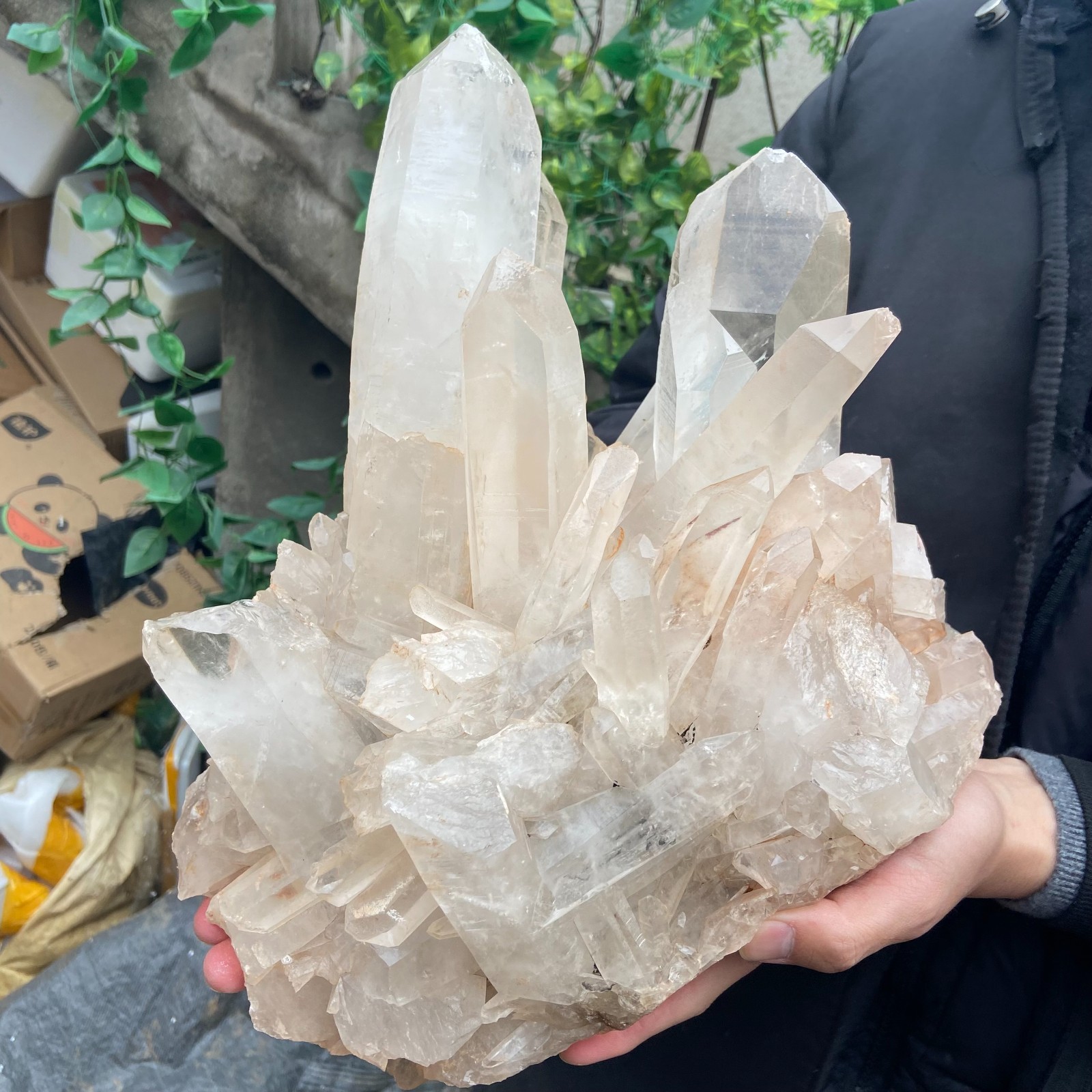 29.9lb Natural Clear White Crystal Quartz Cluster Rough Healing Specimen