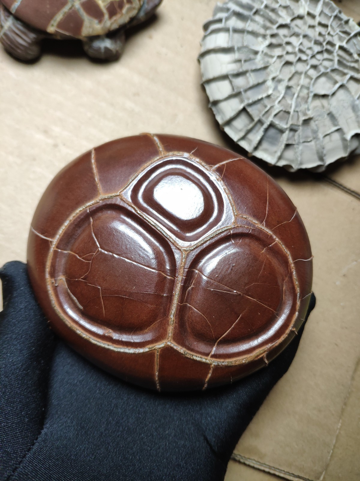680g beautiful Natural tortoise back pattern stone Landscape stone