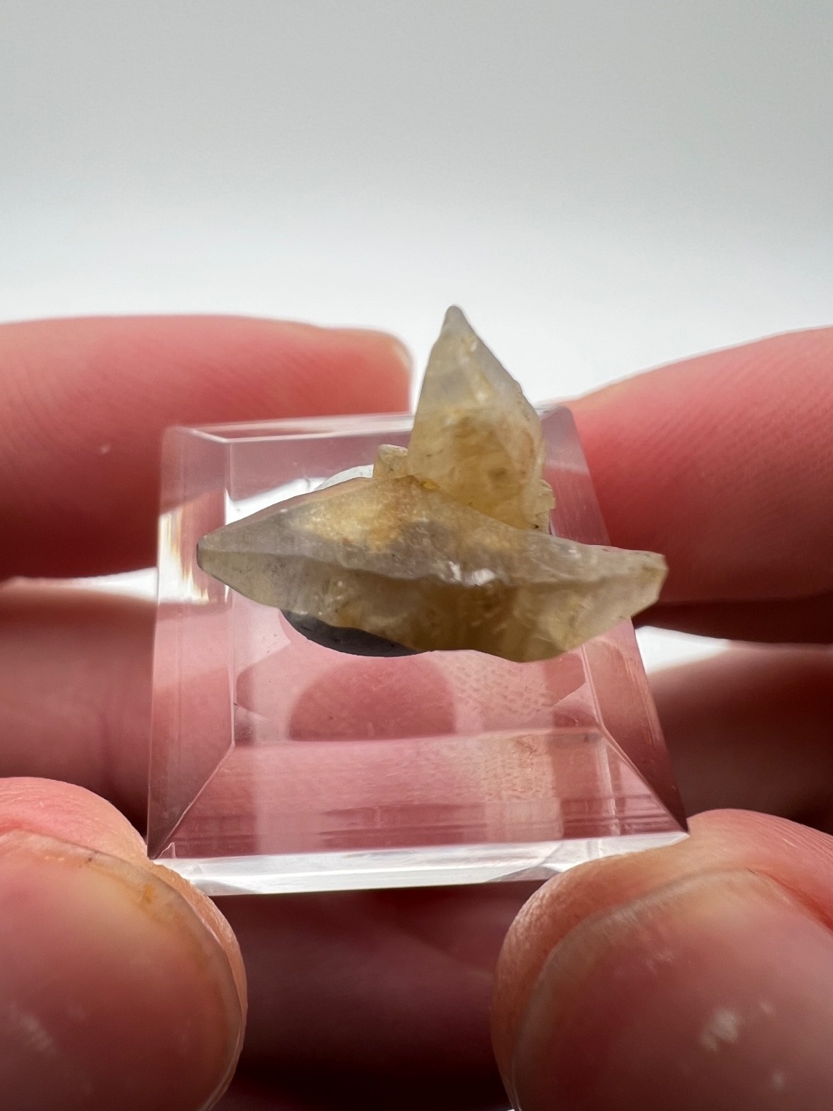 Gem Yellow Double Terminated Sapphire Crystal, Mineral Specimen from Sri Lanka