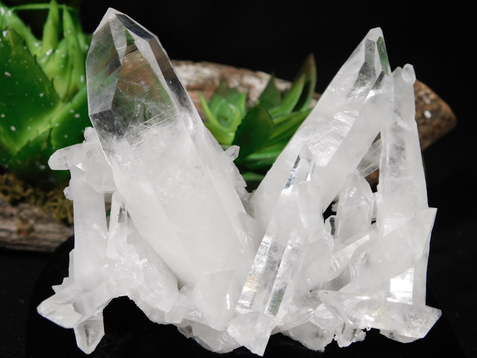 Larger! VERY TRANSLUCENT Quartz Crystal Cluster Collier Creek ARKANSAS 150gr