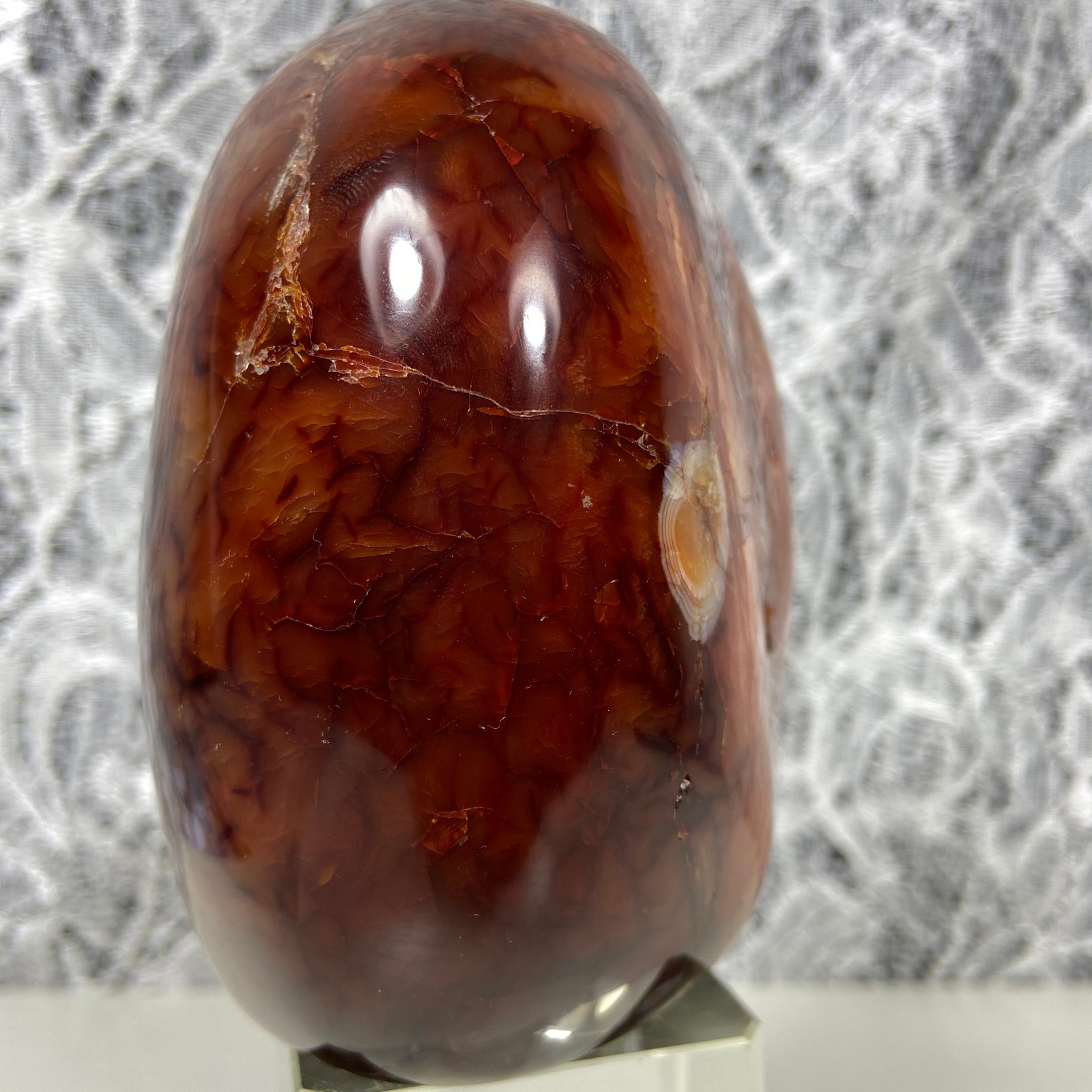 4.1″2.35lb Big Red Agate CARNELIAN Stone Standup Crystal Reiki Madagascar Y909