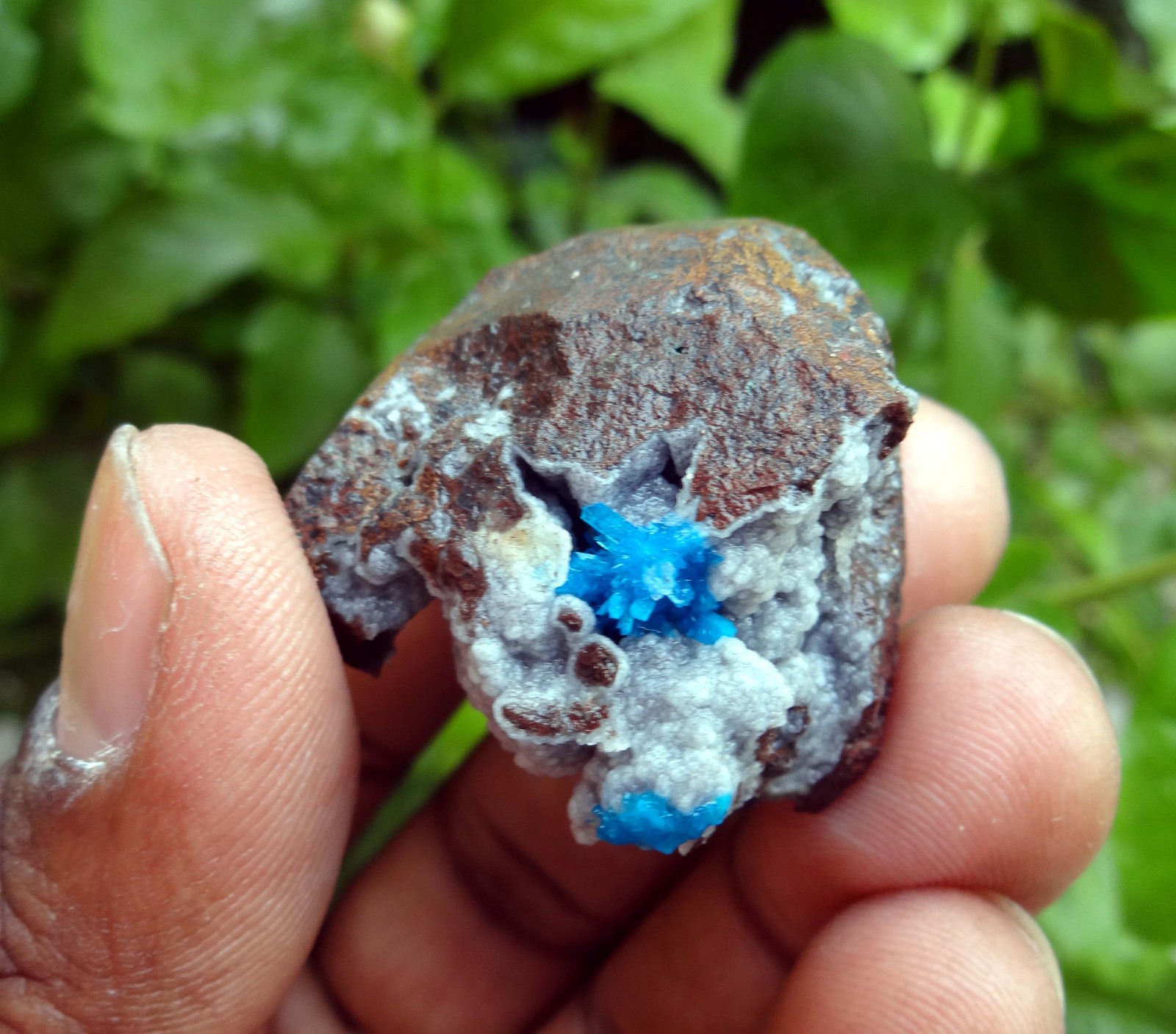cavncite & matrix minerals specimen j-6