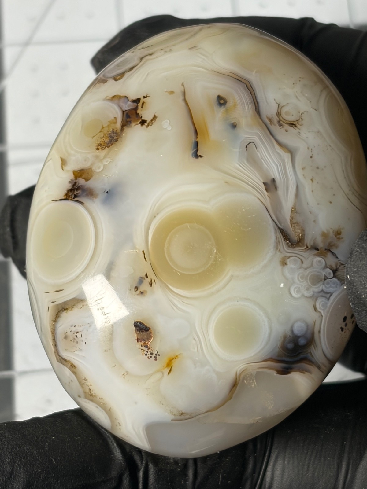 Excellent Agate Palm Stone Dendritic Orbs Banding