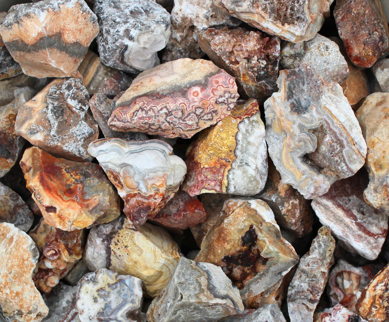 Crazy Lace Agate – Rough Rocks for Tumbling – Bulk Wholesale 1LB options