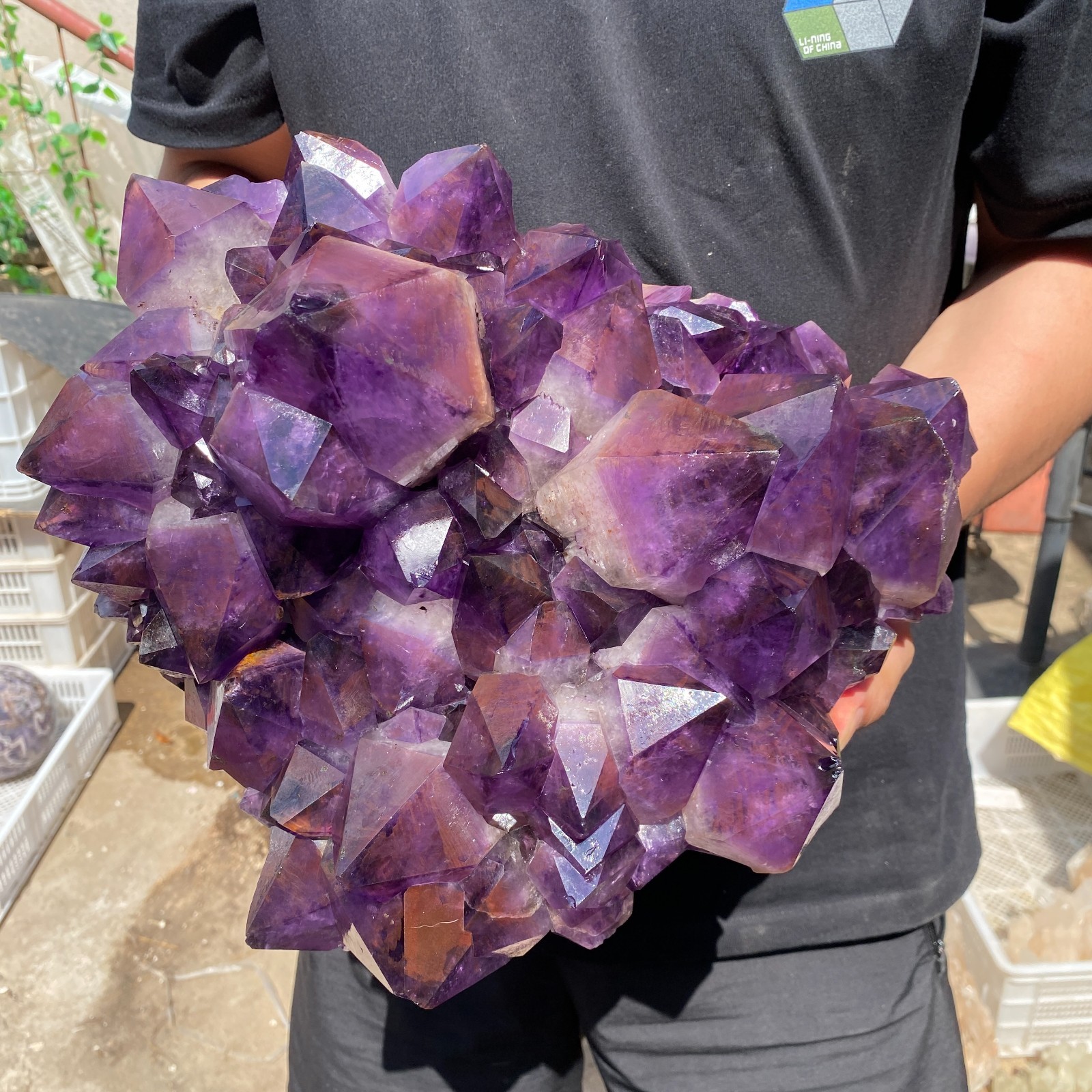 26.2lb Natural Amethyst geode quartz cluster crystal specimen Healing