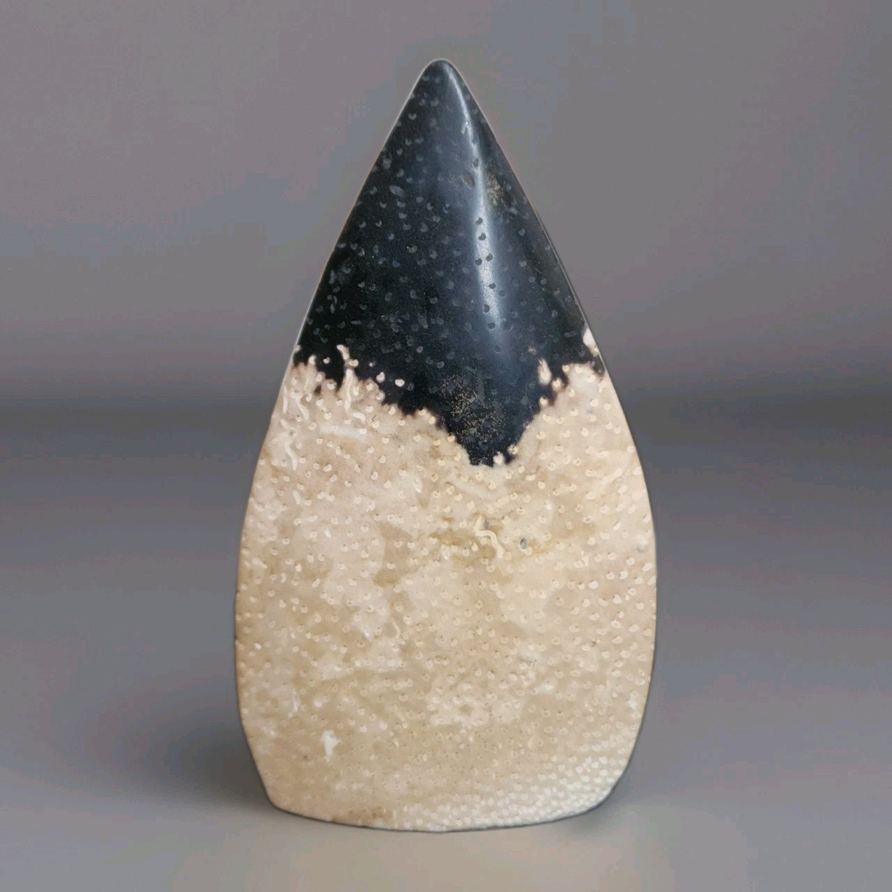 Natural Polished Indonesia Fossil Teardrop Freeform Ornament 180g – USA