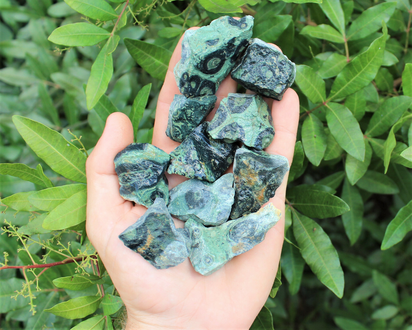 Kambaba Jasper Rough Natural Stones Bulk Wholesale Lots (Raw Crocodile Jasper)