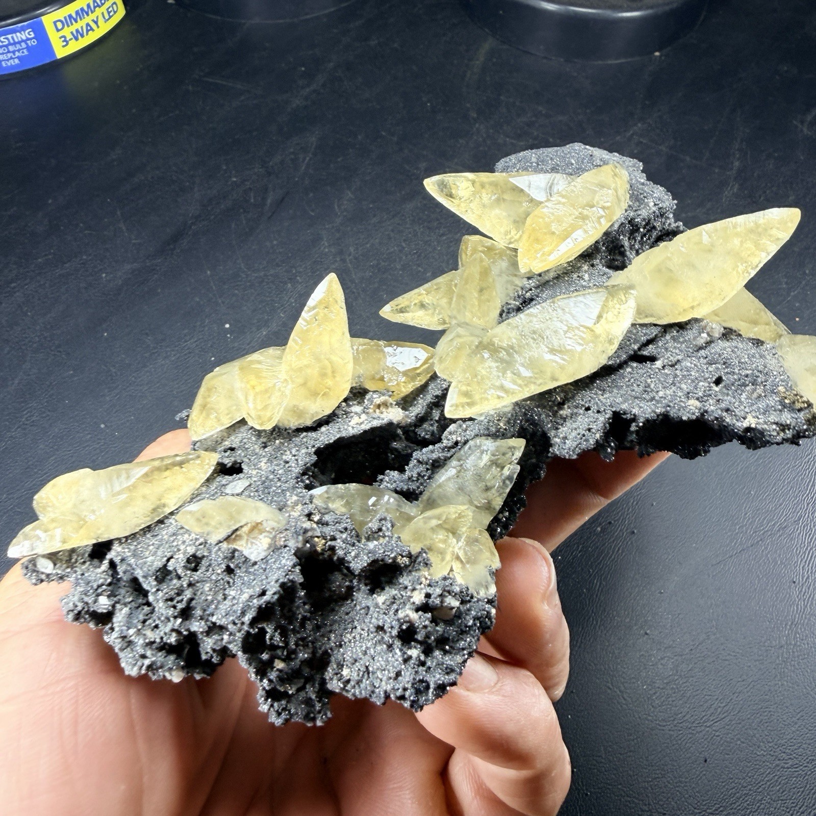 A+ Golden Calcite Dogtooth Crystals on Black Dolomite / Sweetwater Mine *Video*